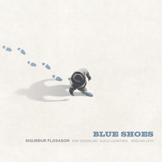 the album cover for Sigurdur Flosason - Blue Shoes