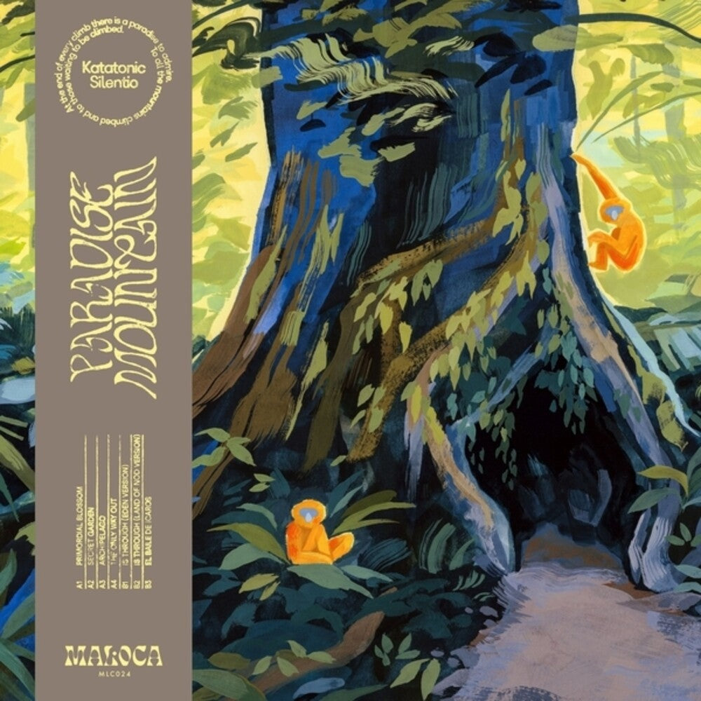 the album cover for Katatonic Silentio - Paradise Mountain