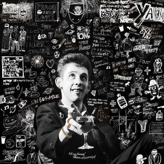 the album cover for Shane Macgowan - 20th Century Paddy - Songs Of Shane Macgowan