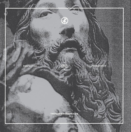 the album cover for Trepaneringsritualen - Perfection & Permanence