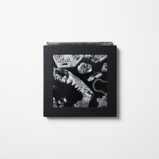 the album cover for Lex Xx (W/Book) (Blk) (Gate) (Ltd) (Ogv) (Pict) - Lex Xx (W/Book) (Blk) (Gate) [Limited Edition] [180 Gram] (Pict)
