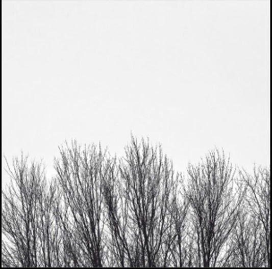 the album cover for Northwoods Improvisers - White Sky