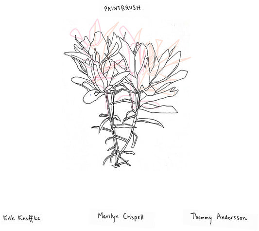 the album cover for Kirk Knuffke - Paintbrush