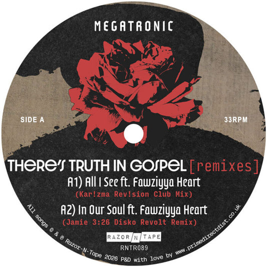 the album cover for Megatronic - There's Truth In Gospel (Remixes)