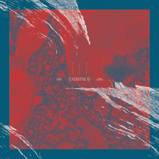 the album cover for Troum & Raison D'etre - Xibipiio [2LP]