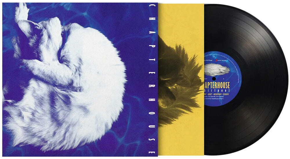 the album cover for Chapterhouse - Whirlpool (Blk) [180 Gram] (Hol)