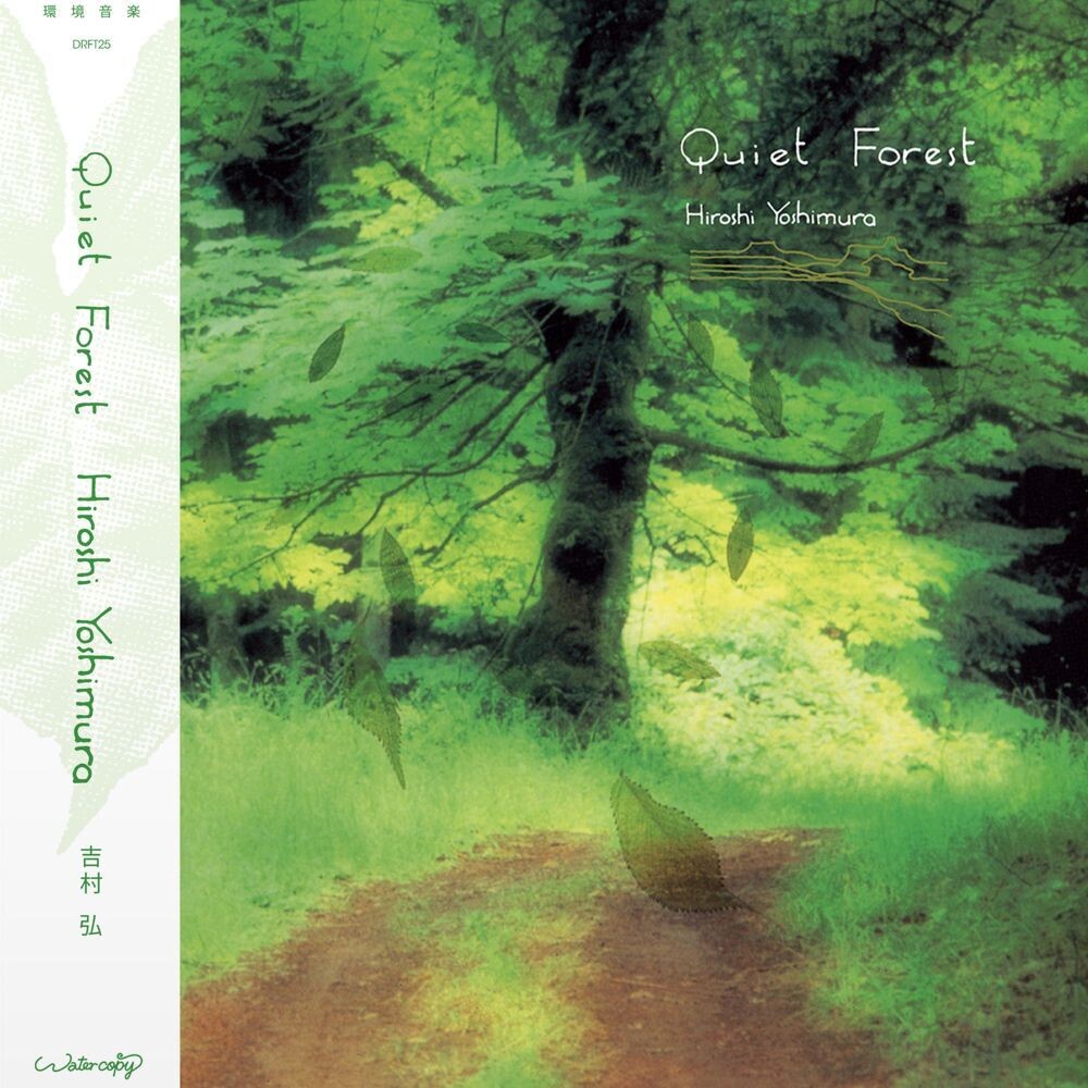 the album cover for Hiroshi Yoshimura - Quiet Forest [Reissue]