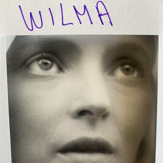 the album cover for Daniele Luppi - Wilma