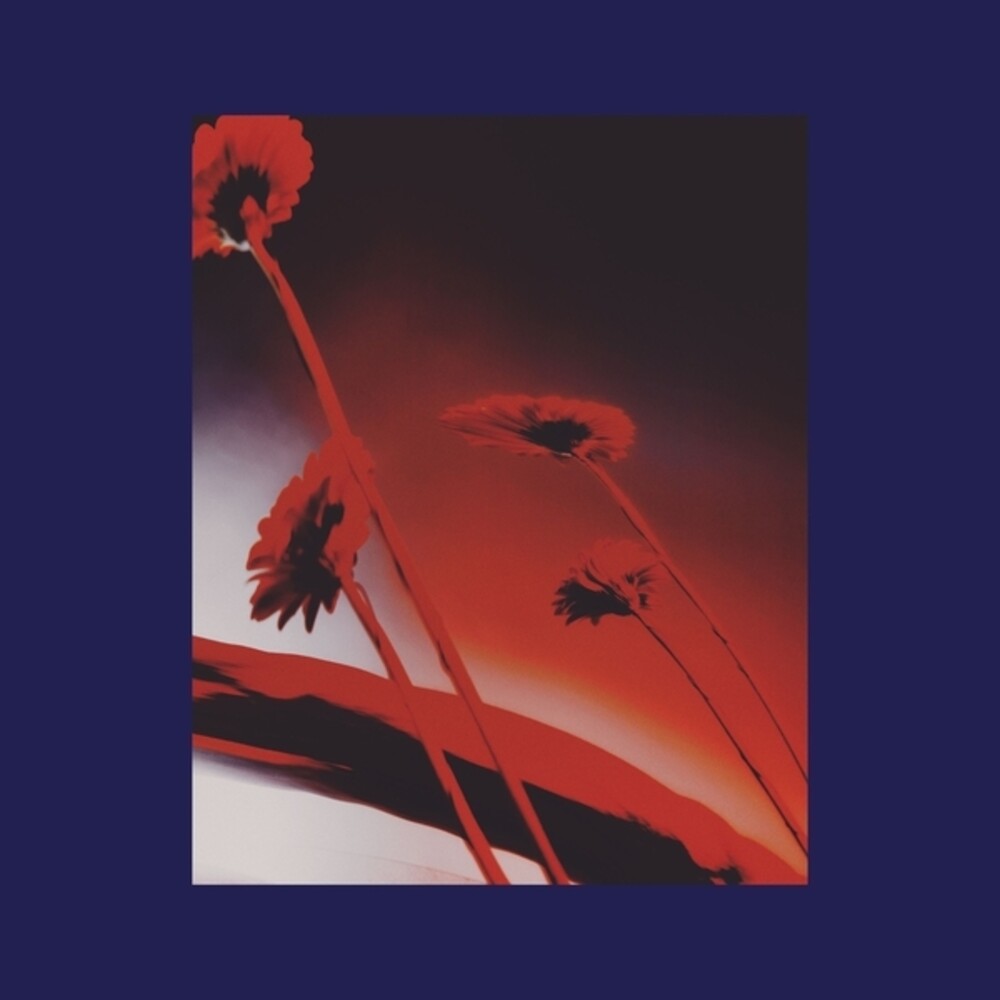 the album cover for Nothing Ever Was: Compiled By Dj Sundae / Var - Nothing Ever Was: Compiled By Dj Sundae / Var