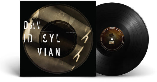 the album cover for Sylvian, David - Distance Between The Killer And The Killing