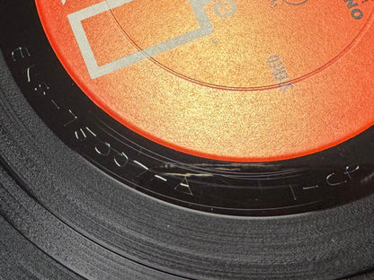 The Doors - Morrison Hotel