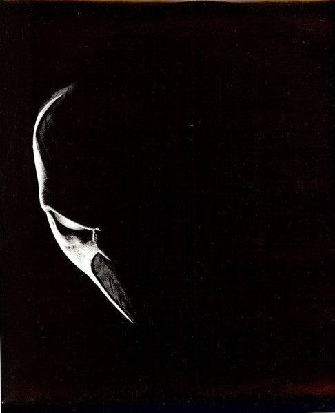 Various - Spawn (The Album)