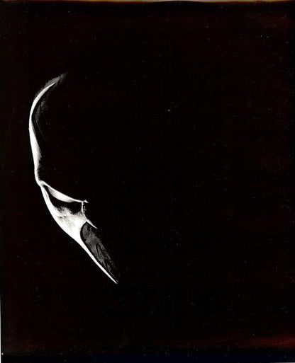 Various - Spawn (The Album)