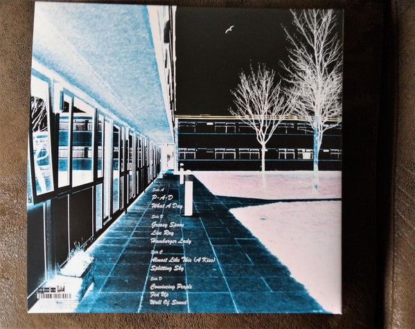Throbbing Gristle - Live December 2004 (A Souvenir Of Camber Sands)