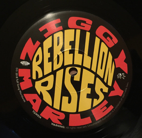 Ziggy Marley - Rebellion Rises