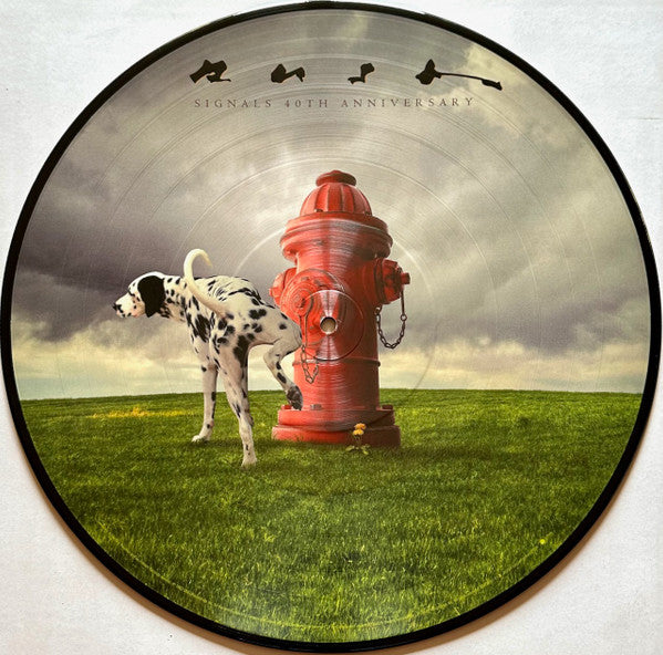 Rush - Signals
