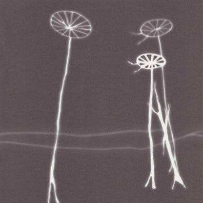 The Smashing Pumpkins - Aghori Mhori Mei
