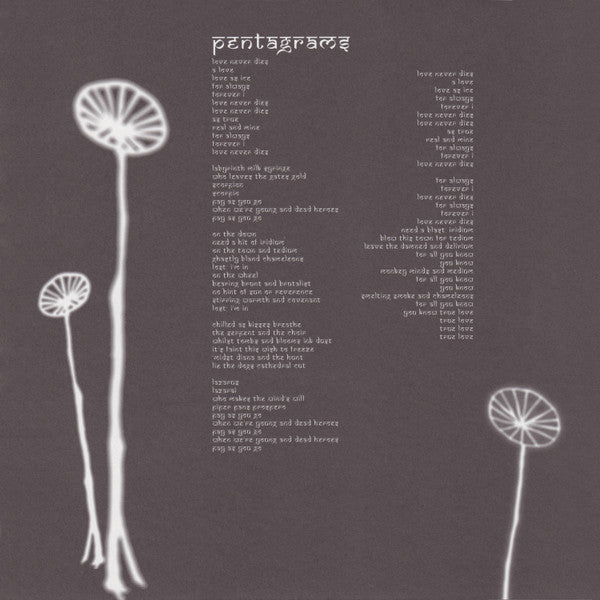The Smashing Pumpkins - Aghori Mhori Mei