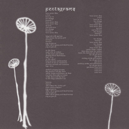 The Smashing Pumpkins - Aghori Mhori Mei