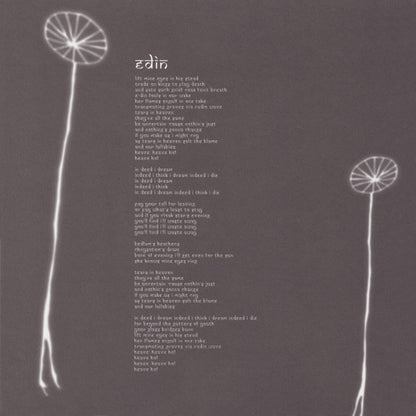 The Smashing Pumpkins - Aghori Mhori Mei