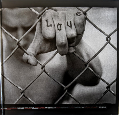 Green Day - American Idiot