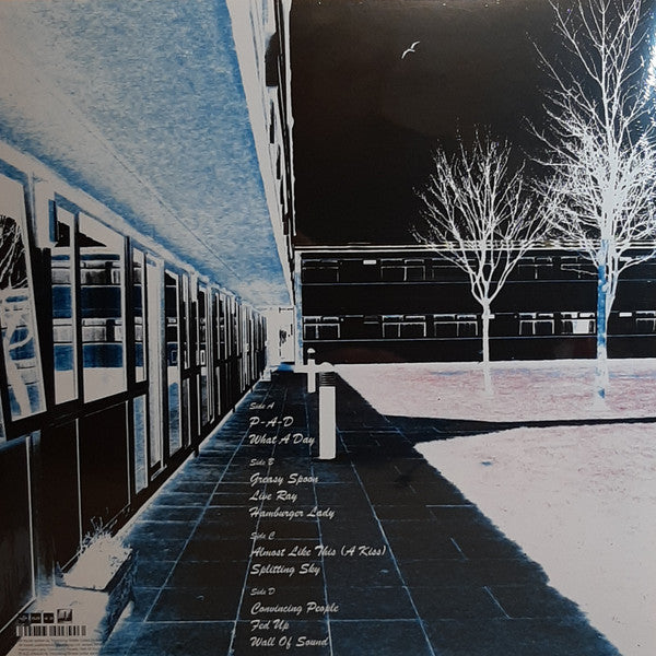 Throbbing Gristle - Live December 2004 (A Souvenir Of Camber Sands)